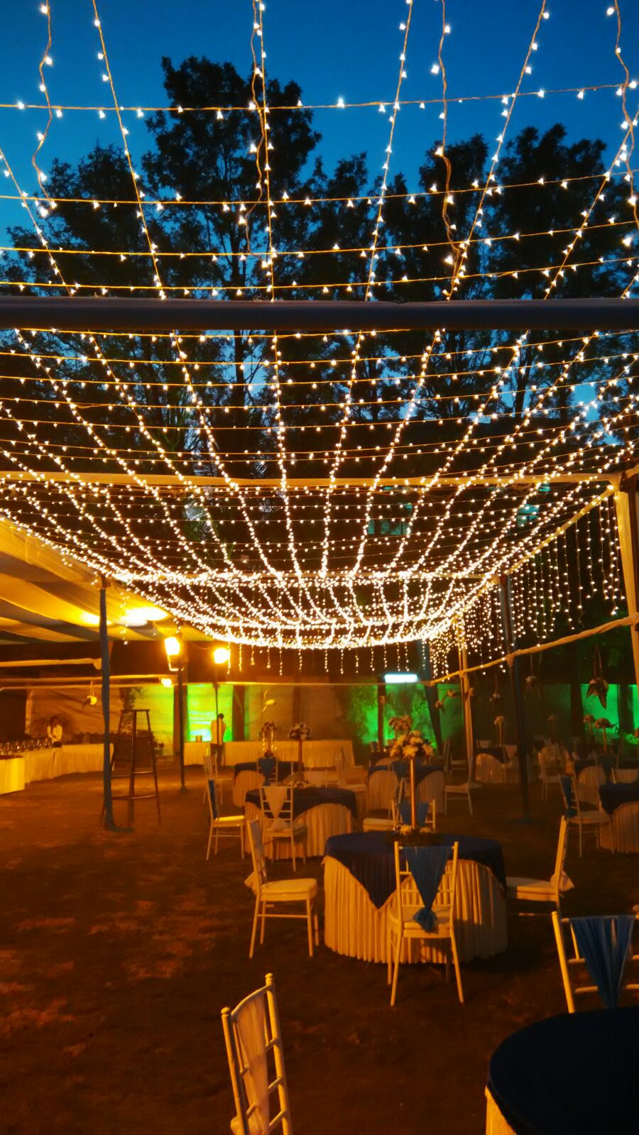 SGP lights and decors