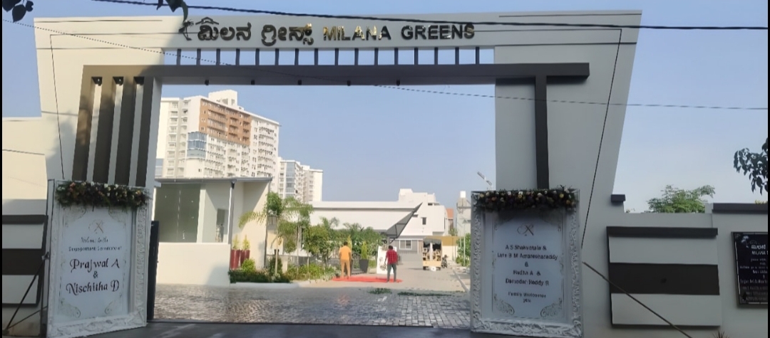 Milana greens — photo 2